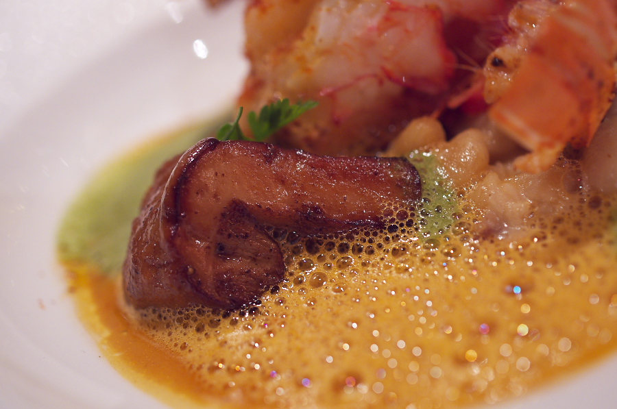 IMGP3015.jpg(285935 byte)