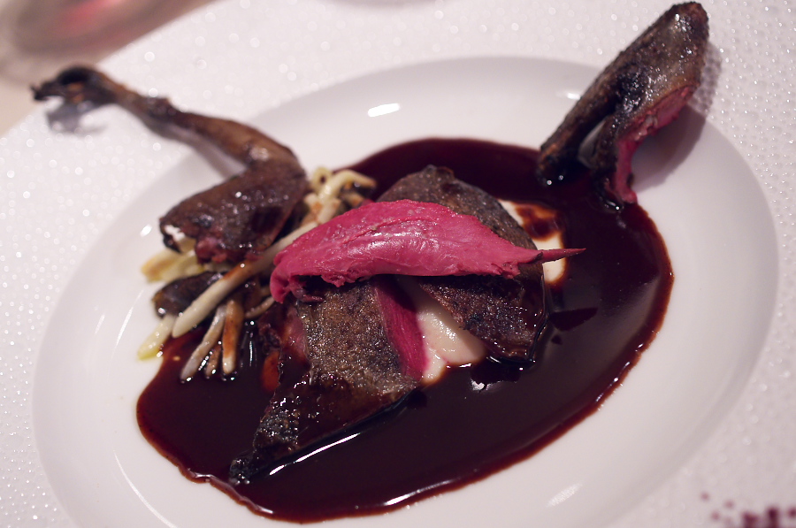 IMGP3038.jpg(244082 byte)