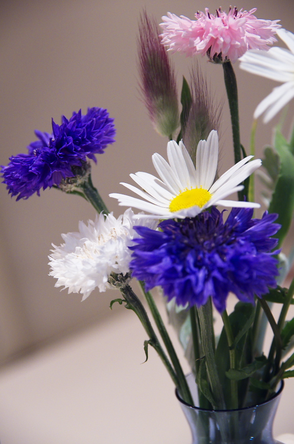 IMGP4761.jpg(267859 byte)