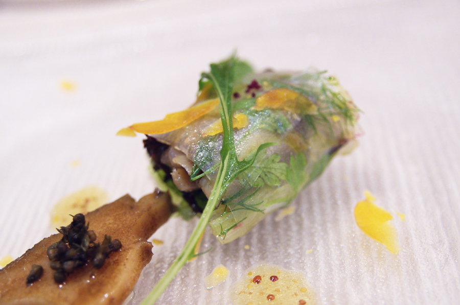 IMGP4822.jpg(226521 byte)