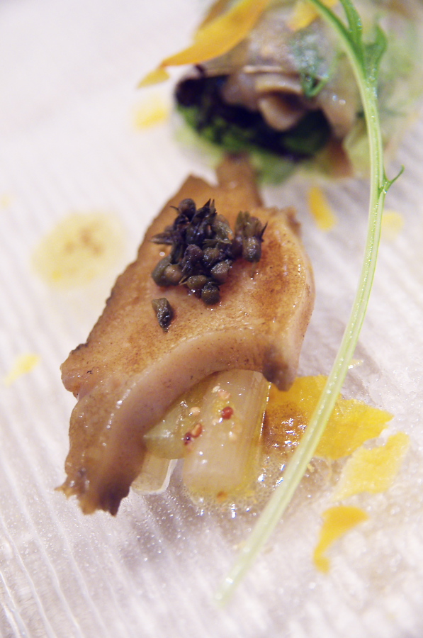 IMGP4837.jpg(251896 byte)