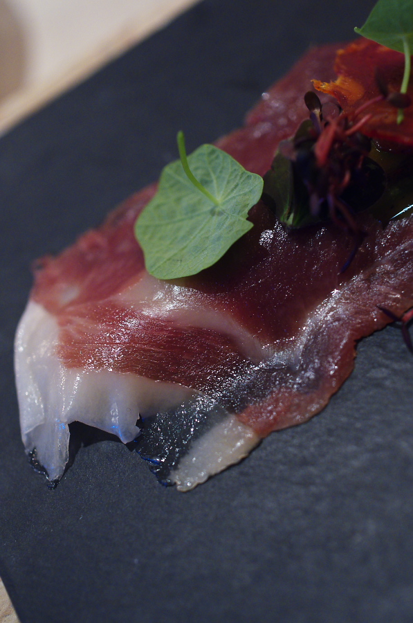 IMGP7066.jpg(287095 byte)