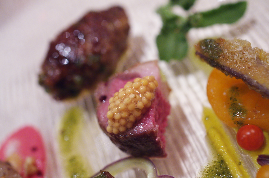 IMGP7160.jpg(274795 byte)