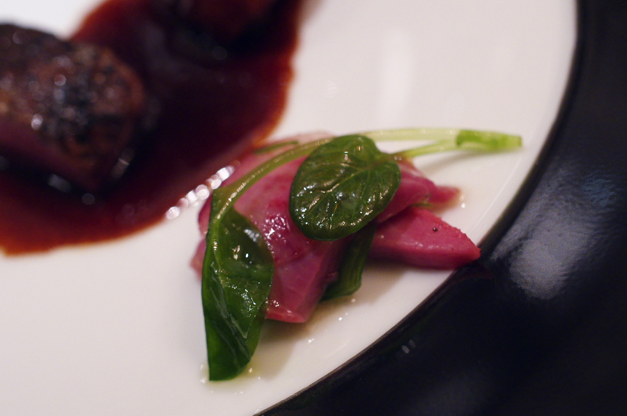 IMGP7251.jpg(216806 byte)