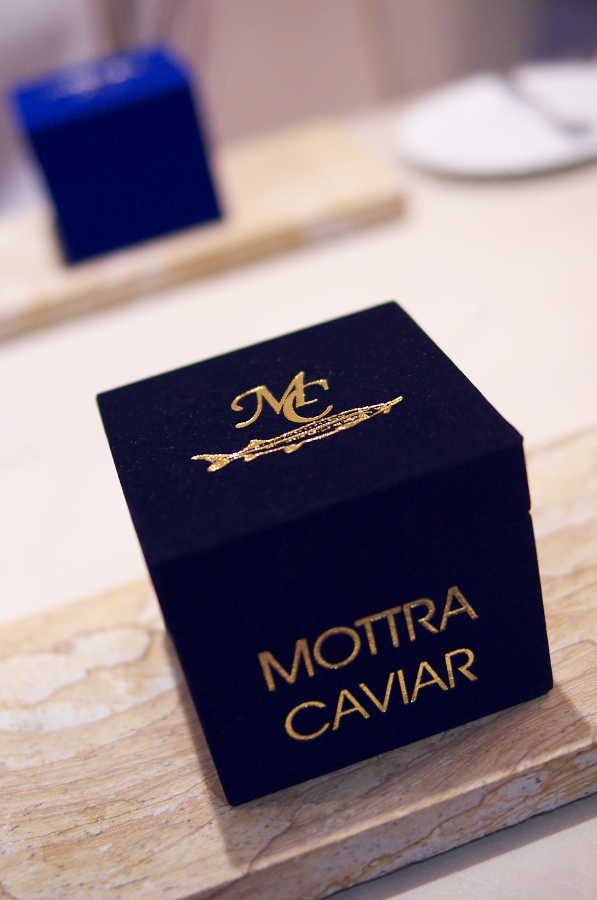 IMGP5478.jpg(234331 byte)