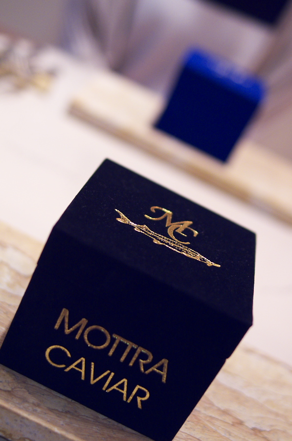 IMGP5481.jpg(222939 byte)