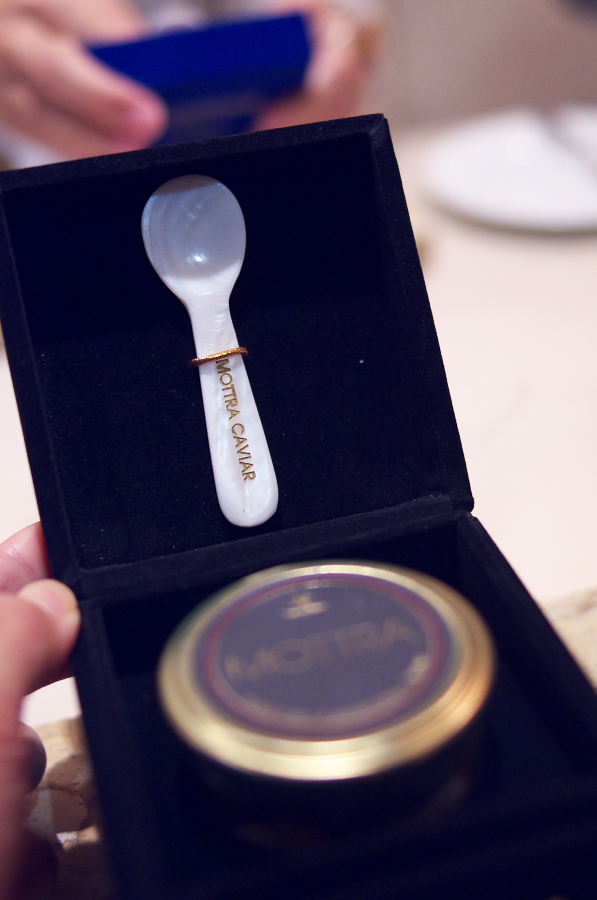 IMGP5483.jpg(215357 byte)