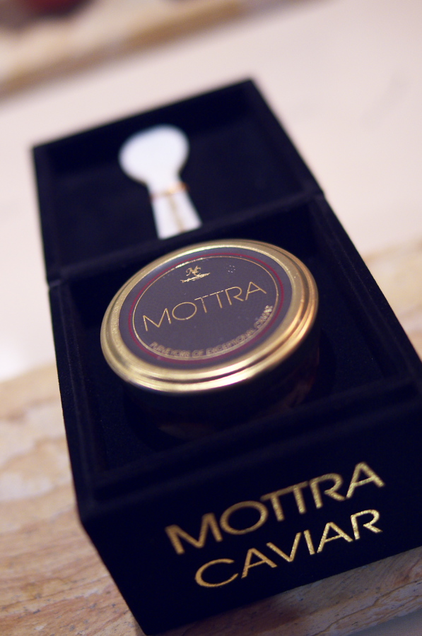 IMGP5485.jpg(215411 byte)