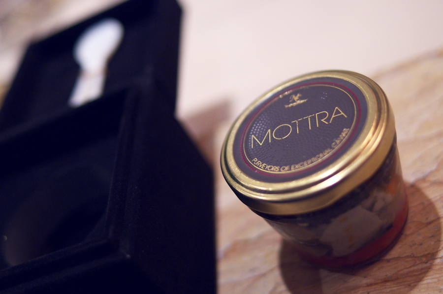 IMGP5487.jpg(206127 byte)