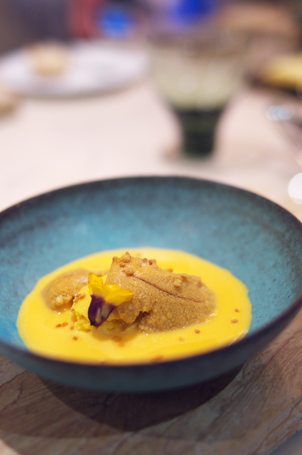 IMGP5539.jpg(223825 byte)