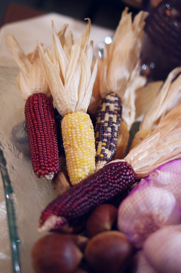 IMGP6708.jpg(339586 byte)