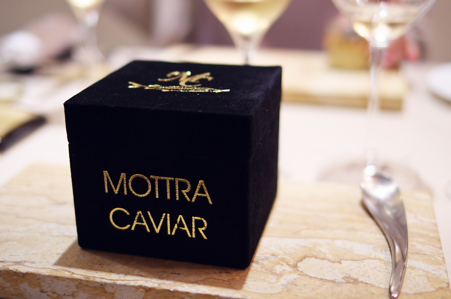 IMGP6805.jpg(205204 byte)