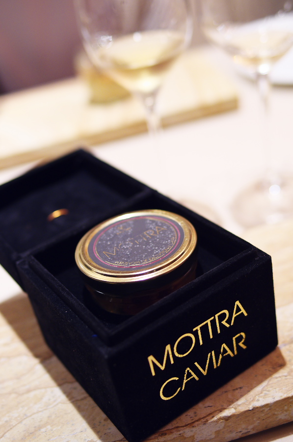 IMGP6808.jpg(205579 byte)