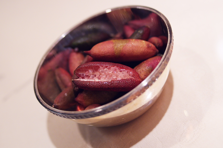 IMGP6835.jpg(216480 byte)