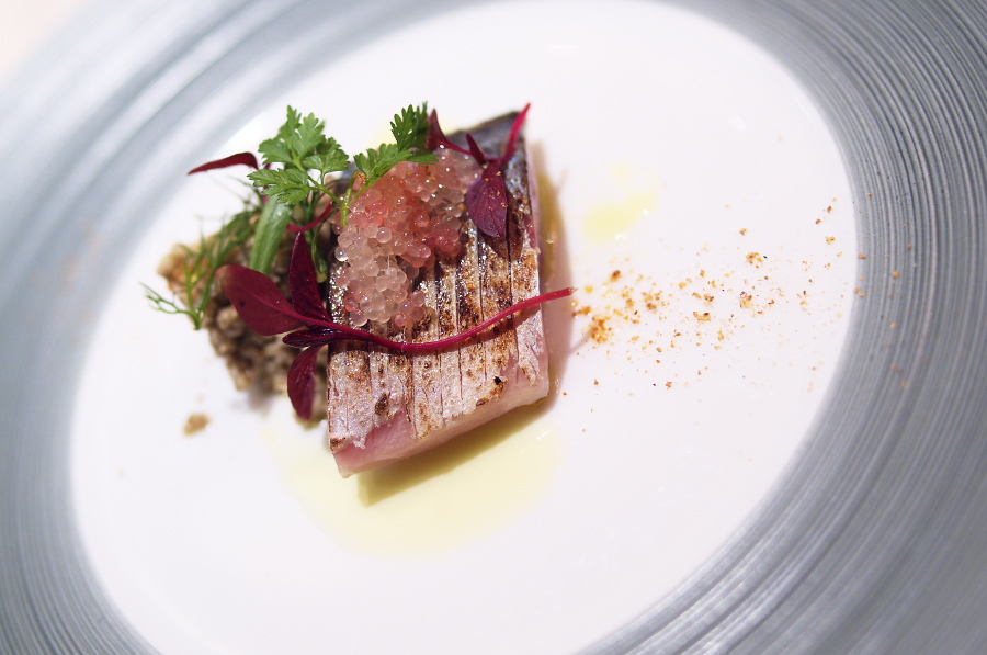 IMGP6862.jpg(237408 byte)