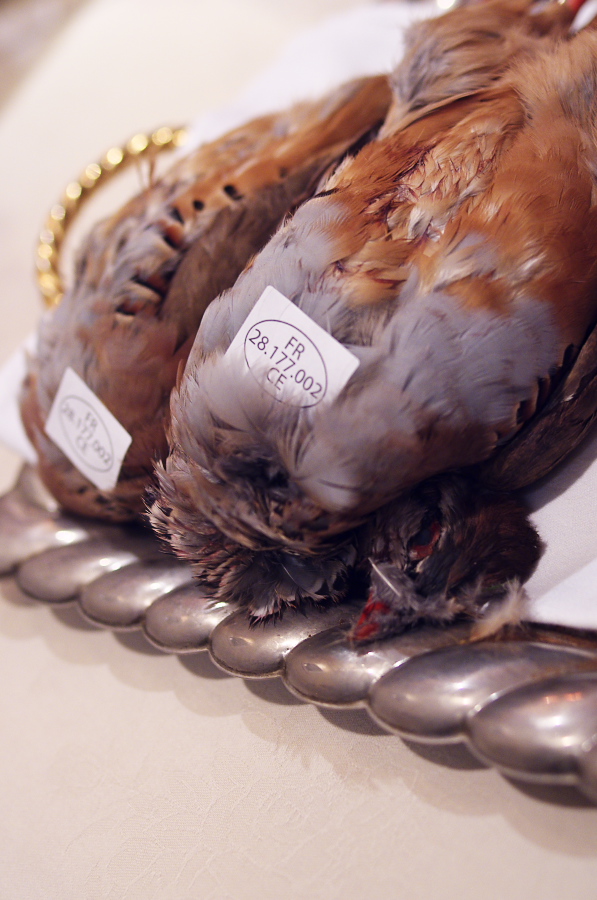 IMGP6900.jpg(276506 byte)