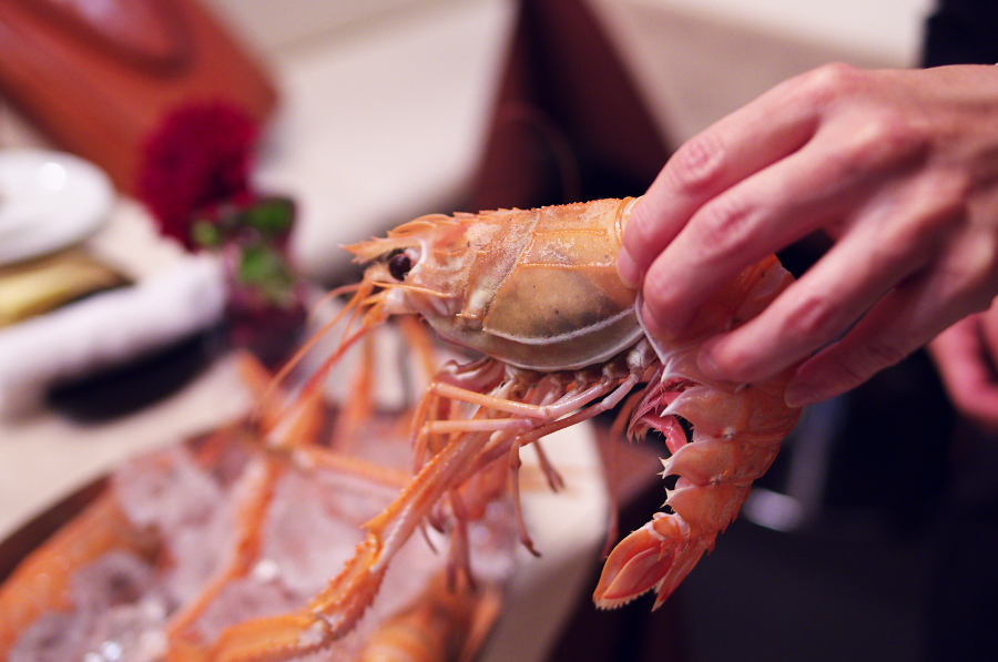 IMGP6932.jpg(249377 byte)