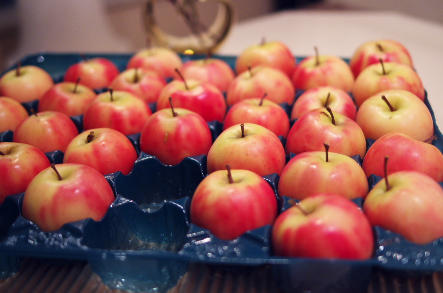 IMGP7003.jpg(270808 byte)