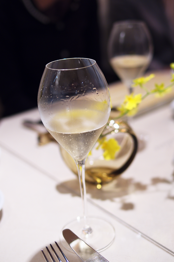 IMGP7290.jpg(477929 byte)