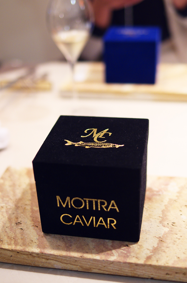 IMGP7326.jpg(609642 byte)