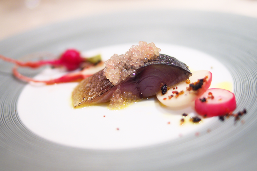 IMGP7373.jpg(548813 byte)