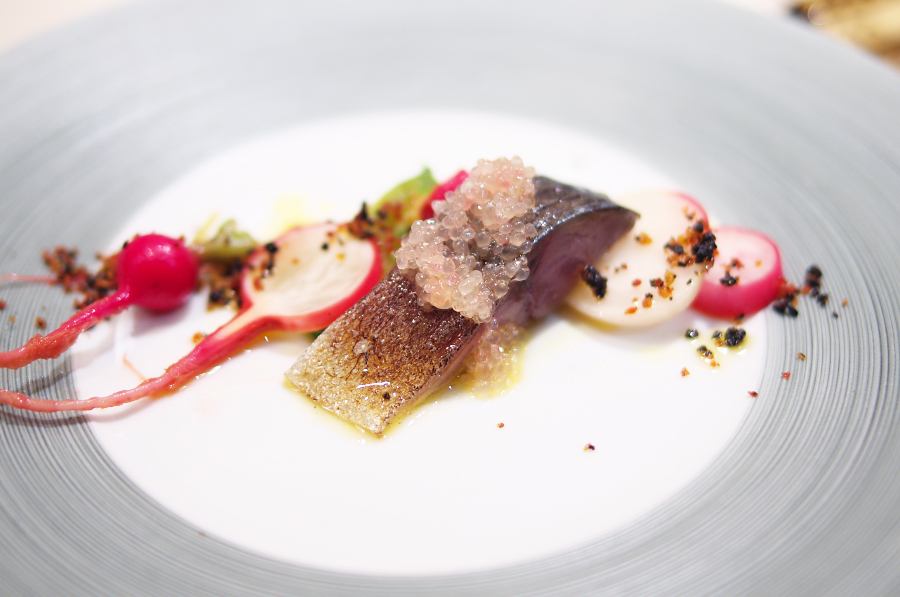 IMGP7374.jpg(550600 byte)