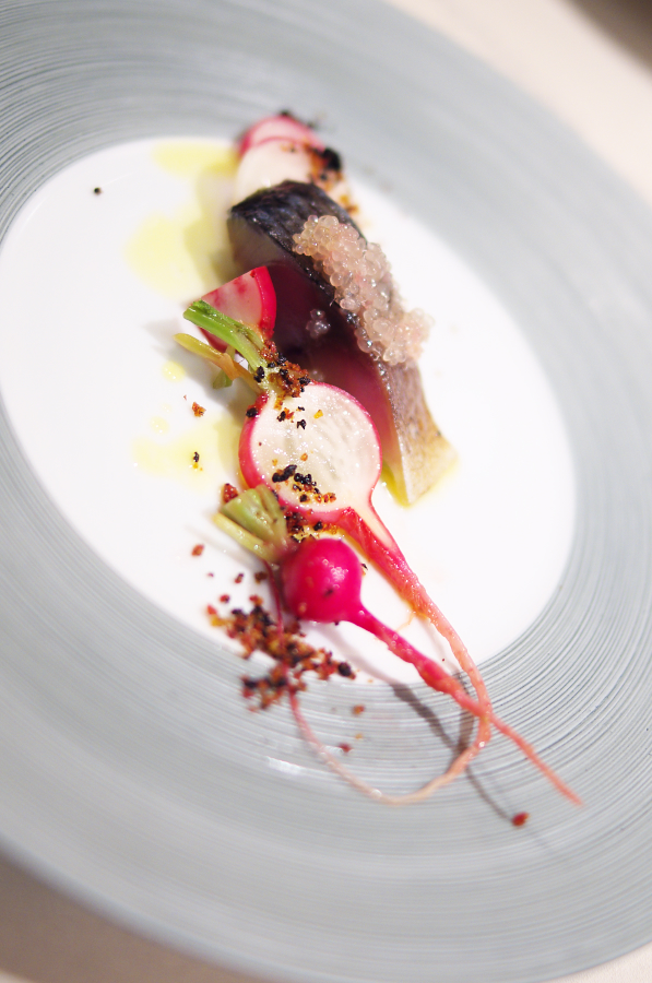 IMGP7376.jpg(576429 byte)