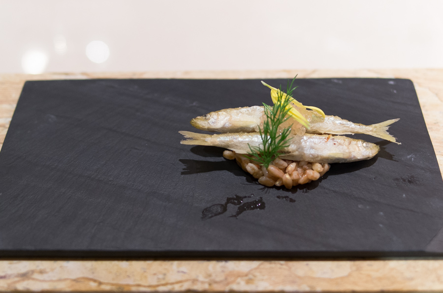 IMGP9639.jpg(240279 byte)