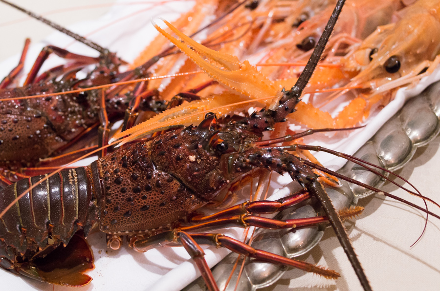 IMGP9673.jpg(495192 byte)