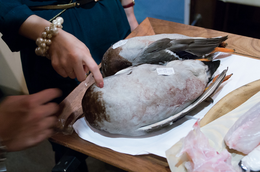 IMGP9697.jpg(331623 byte)