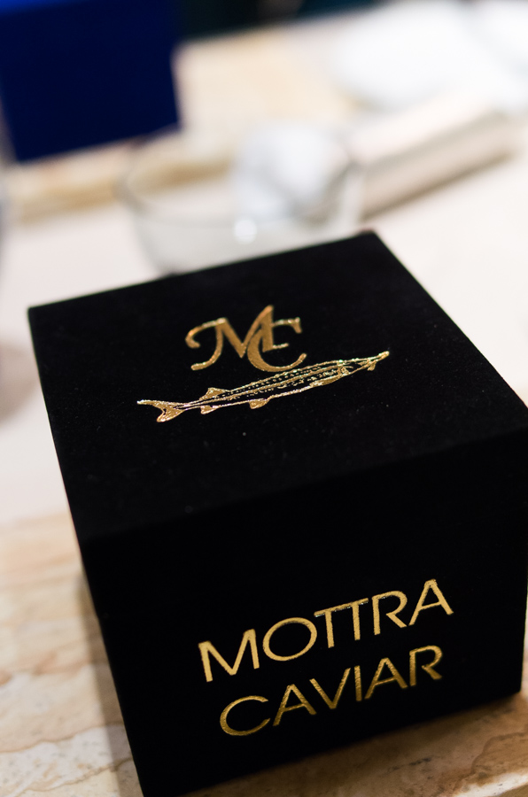 IMGP9728.jpg(199542 byte)