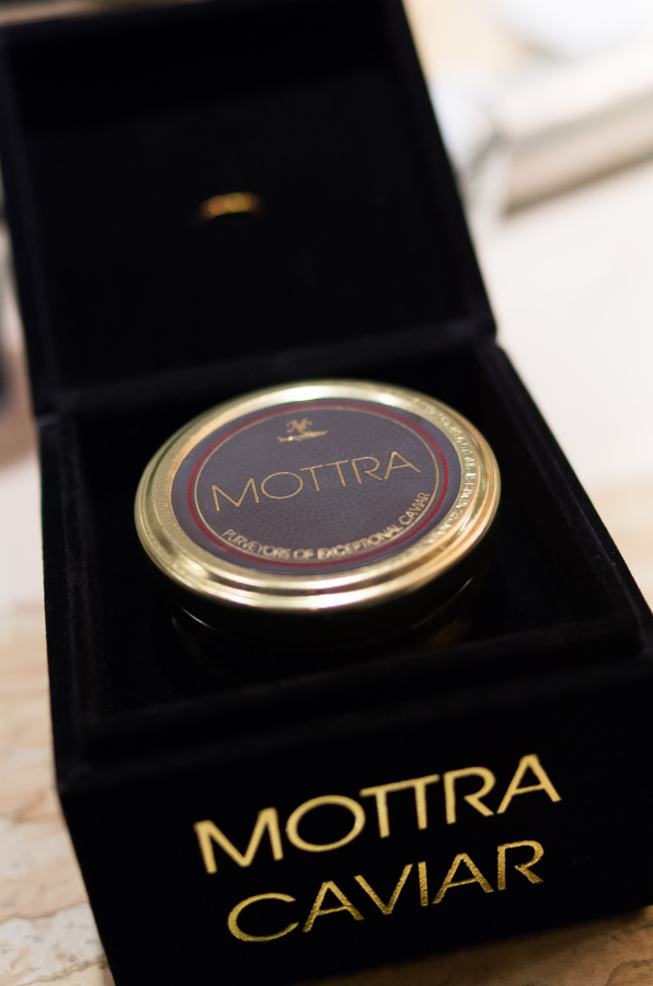 IMGP9732.jpg(202771 byte)