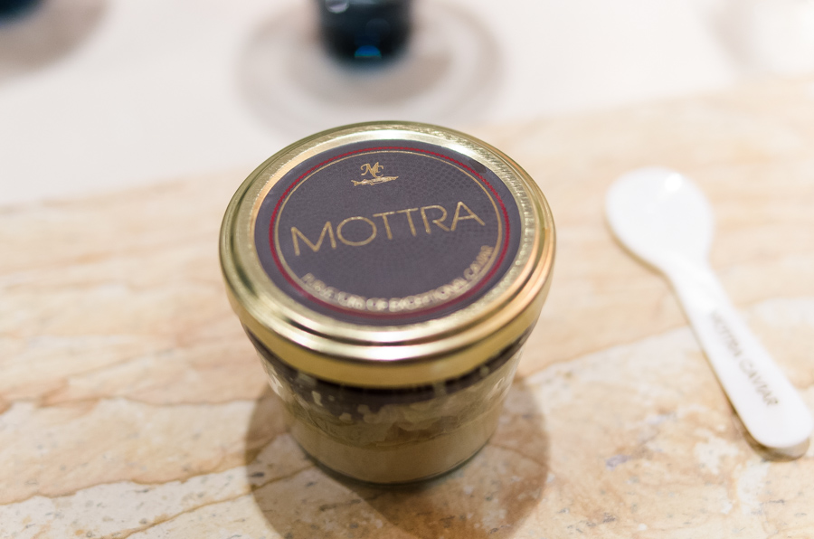 IMGP9734.jpg(225185 byte)