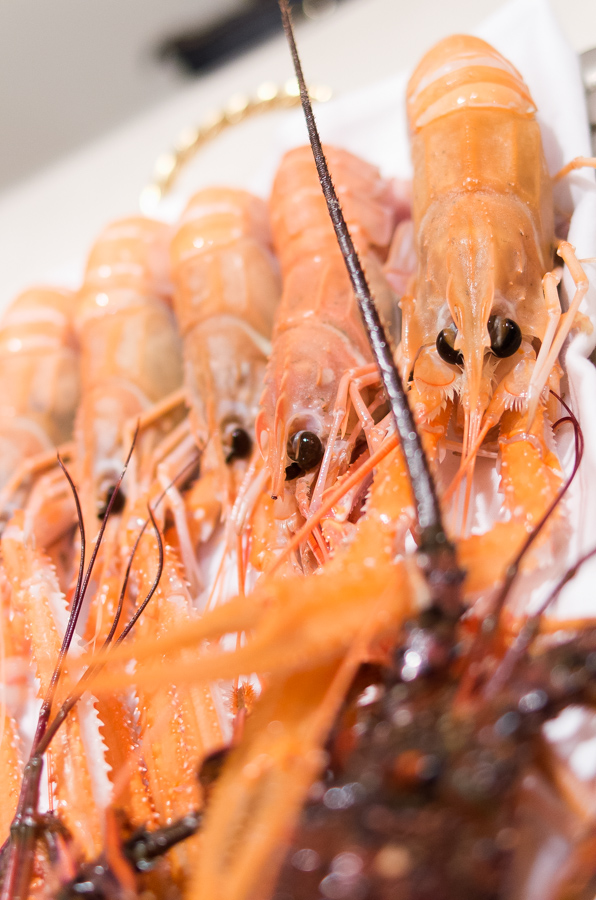 IMGP9738.jpg(359134 byte)