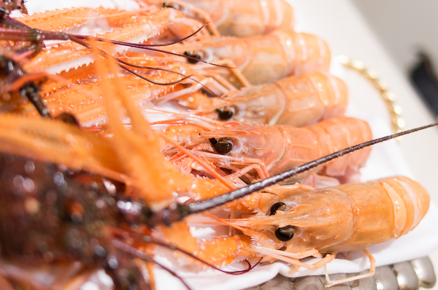 IMGP9742.jpg(375830 byte)