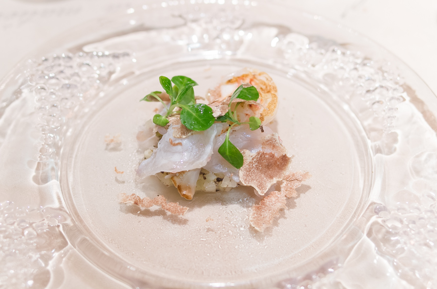 IMGP9805.jpg(274171 byte)