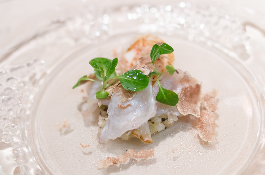 IMGP9817.jpg(258891 byte)