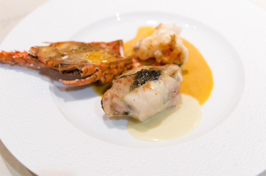 IMGP9849.jpg(202812 byte)