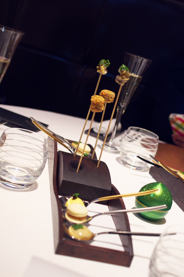 IMGP5510.jpg(219868 byte)