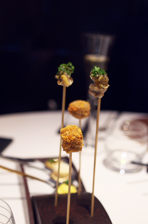 IMGP5514.jpg(165315 byte)