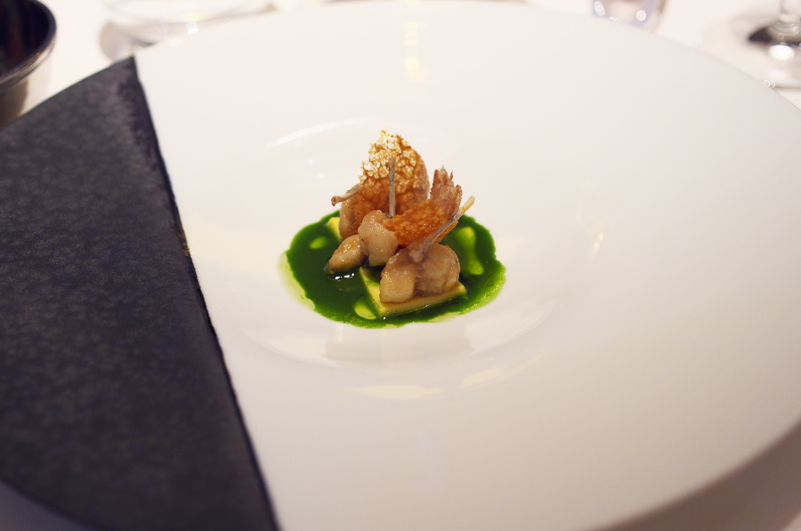 IMGP5554.jpg(168072 byte)