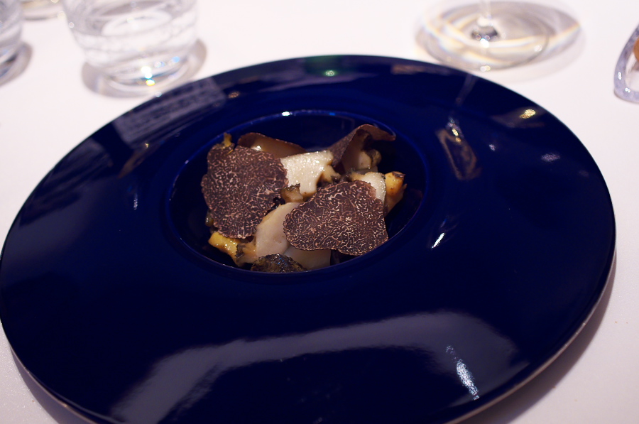 IMGP5586.jpg(195228 byte)