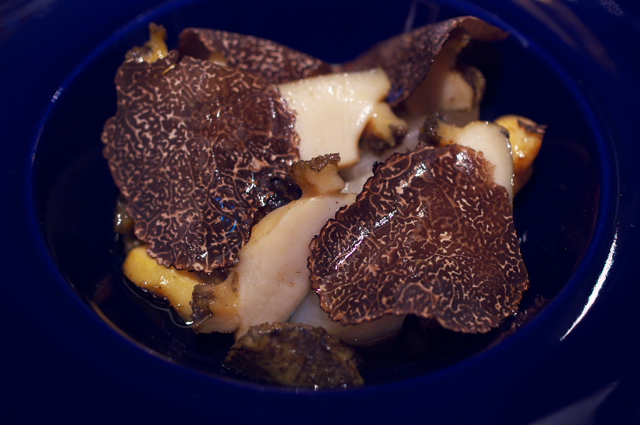 IMGP5597.jpg(270071 byte)