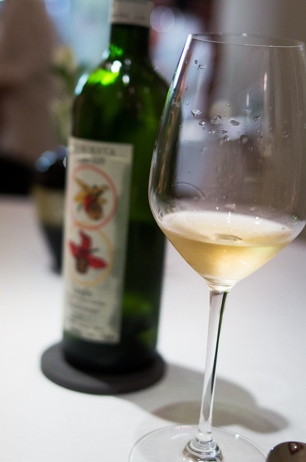 IMGP3093.jpg(298224 byte)