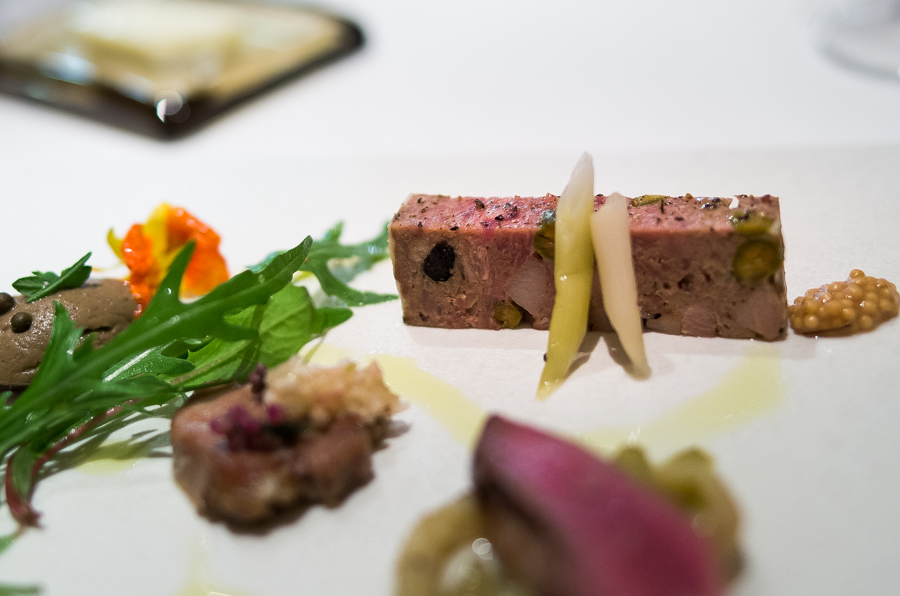 IMGP3168.jpg(335296 byte)