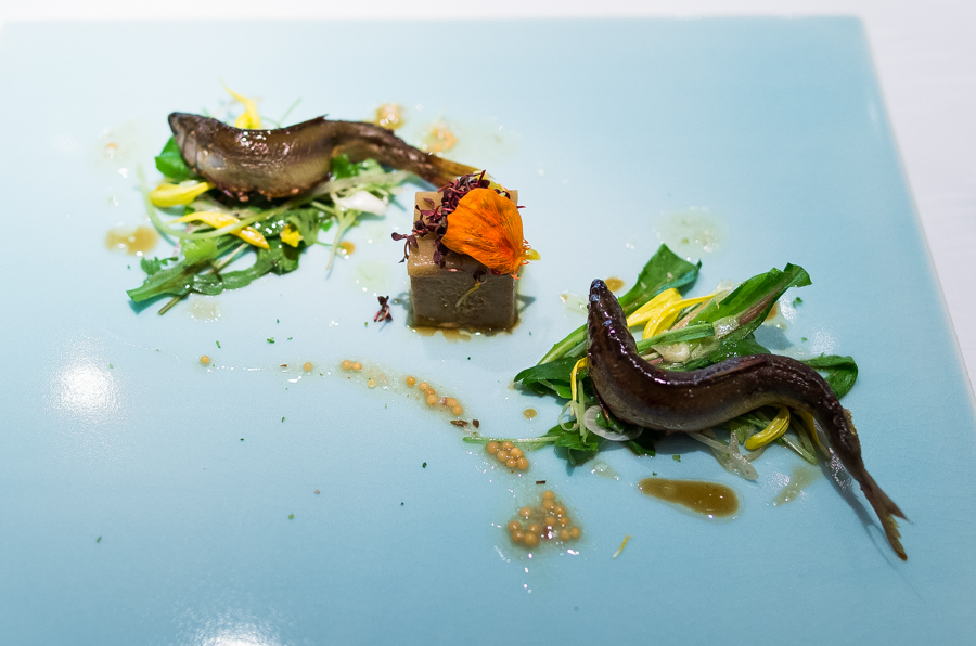 IMGP3180.jpg(374531 byte)