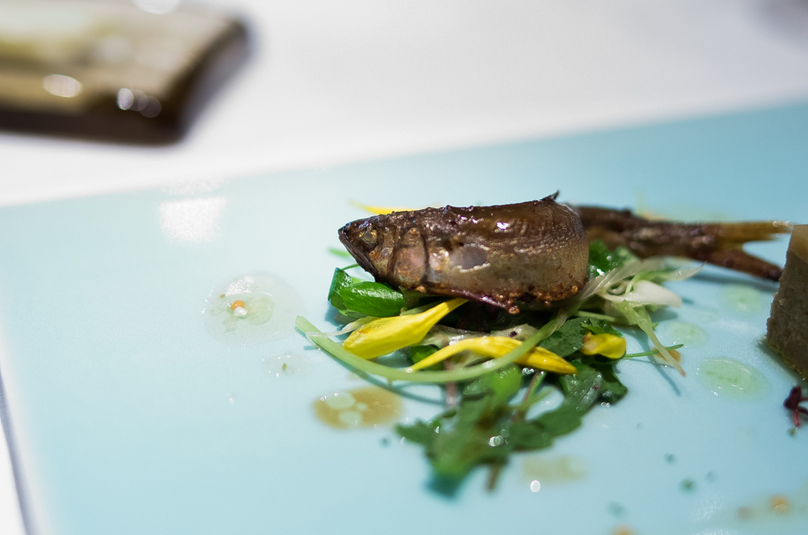 IMGP3190.jpg(309627 byte)