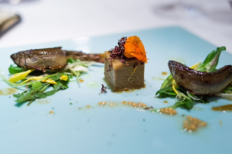 IMGP3196.jpg(362200 byte)