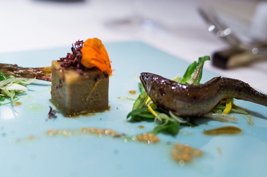 IMGP3203.jpg(347086 byte)