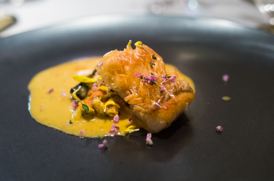 IMGP3217.jpg(356825 byte)